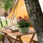 Dragonfly Gardens Urban Glamping בראשוב