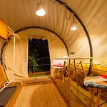 Dragonfly Gardens Urban Glamping
