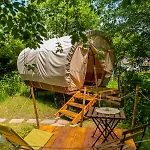 Dragonfly Gardens Urban Glamping *