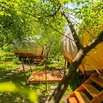 Dragonfly Gardens Urban Glamping