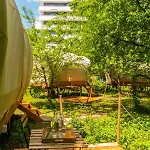 Dragonfly Gardens Urban Glamping * בראשוב