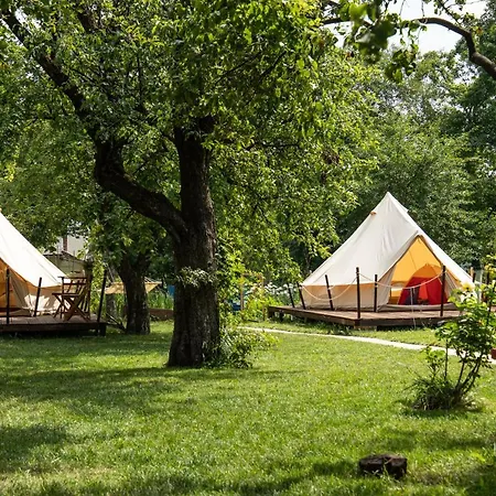 Luxury tent Dragonfly Gardens Urban Glamping Brasov