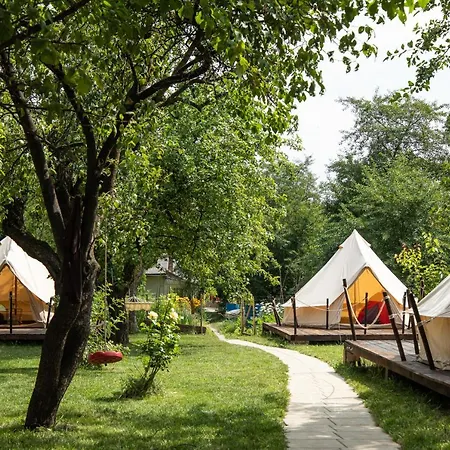 Dragonfly Gardens Urban Glamping Luxe tent *