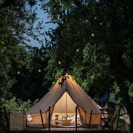Dragonfly Gardens Urban Glamping Campo de lujo