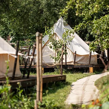 Dragonfly Gardens Urban Glamping