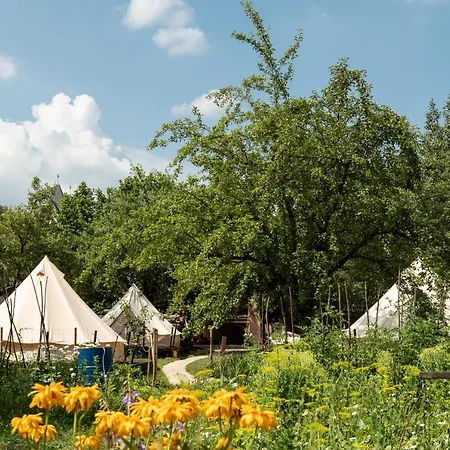Dragonfly Gardens Urban Glamping Luxe tent