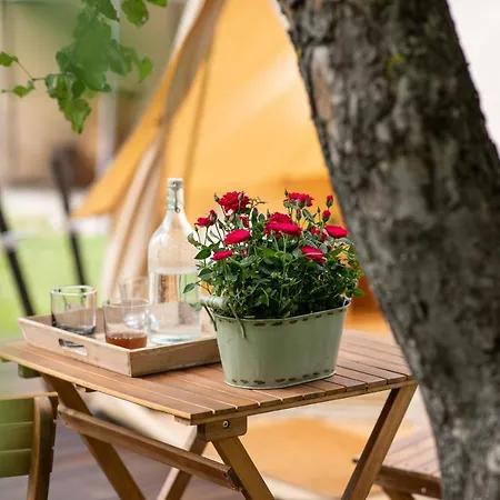 Dragonfly Gardens Urban Glamping Braşov