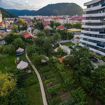 Dragonfly Gardens Urban Glamping Lyxtält Braşov