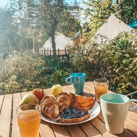 Dragonfly Gardens Urban Glamping Braşov