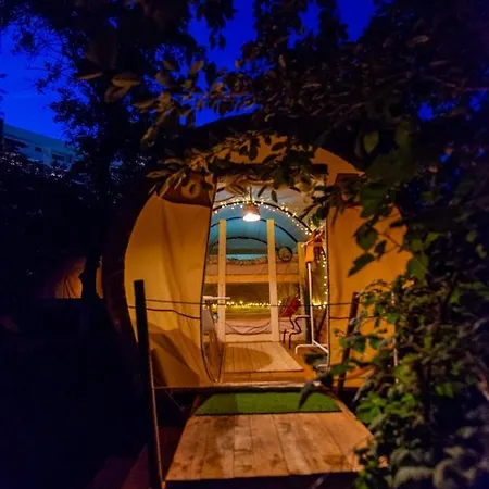 Dragonfly Gardens Urban Glamping * ブラショフ