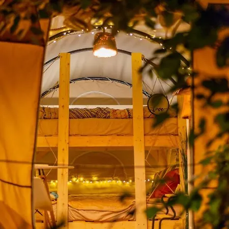 ラグジュアリーテント Dragonfly Gardens Urban Glamping ブラショフ