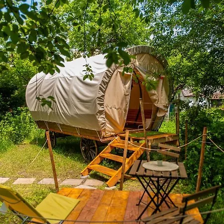 Dragonfly Gardens Urban Glamping *