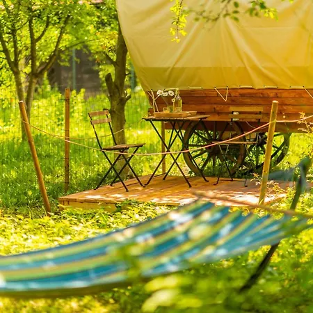 Dragonfly Gardens Urban Glamping Luxury tent