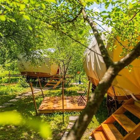 Dragonfly Gardens Urban Glamping