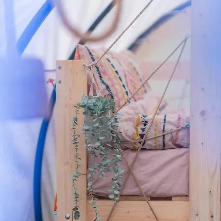 ラグジュアリーテント Dragonfly Gardens Urban Glamping *