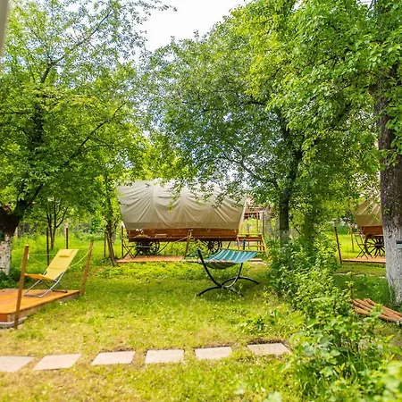 Dragonfly Gardens Urban Glamping ブラショフ