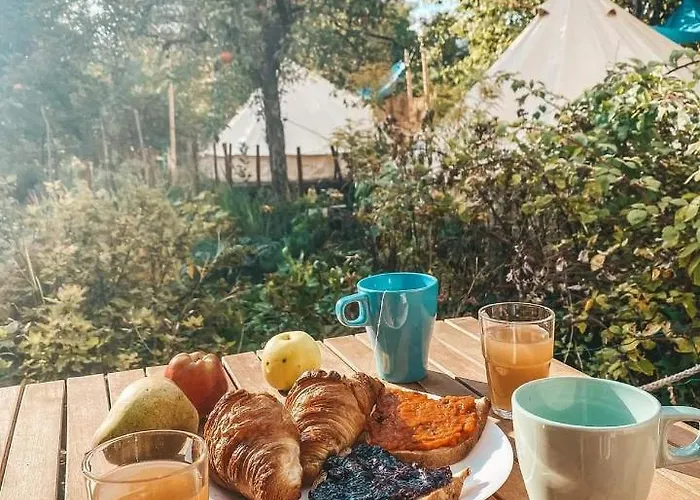 Dragonfly Gardens Urban Glamping Braszów