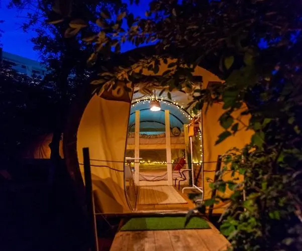 Dragonfly Gardens Urban Glamping * Brașov