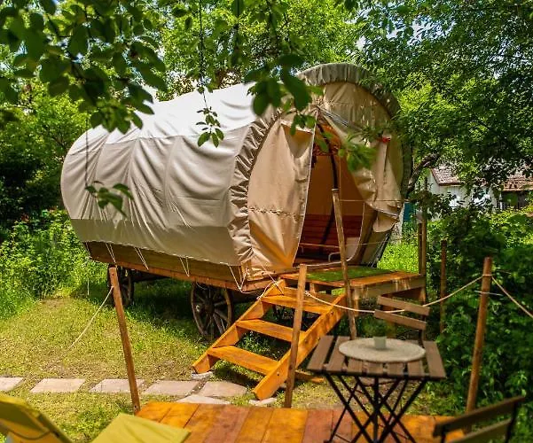 Dragonfly Gardens Urban Glamping *