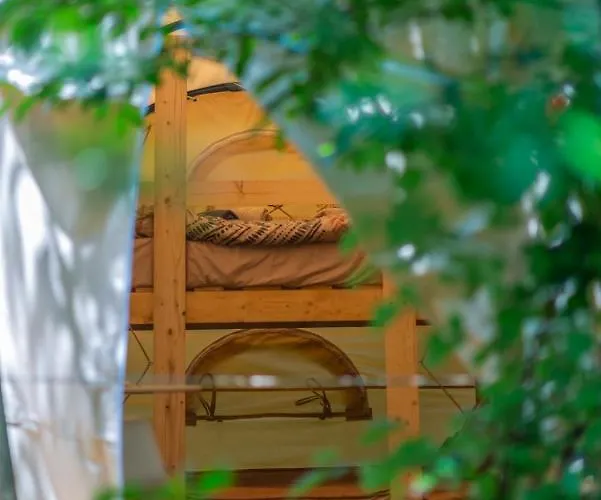 Luksusowy namiot Dragonfly Gardens Urban Glamping Braszów