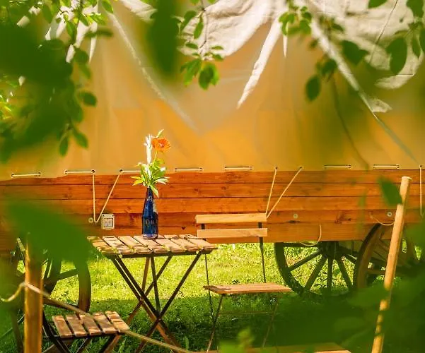 Dragonfly Gardens Urban Glamping *