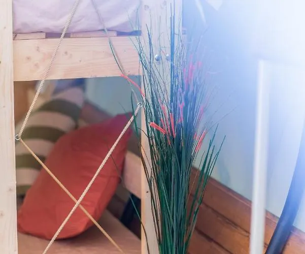 Dragonfly Gardens Urban Glamping 豪华帐篷 布拉索夫